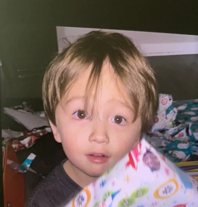 Three-year-old boy vanished after mother sent him to live with her boyfriend