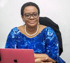 Corrupt people are ensuring they benefit from the system – GII