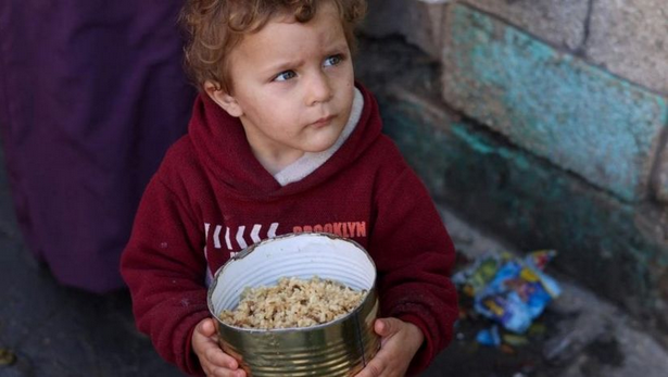 Gazans surviving on animal feed as food supply runs low