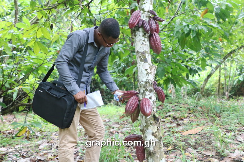 COCOBOD CEO emphasizes competitive prices as key solution to cocoa smuggling