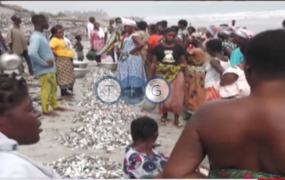 Girls in Jomoro use sex to ‘buy’ fish