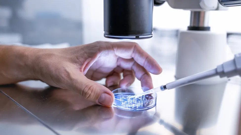 Hospital in Alabama suspends IVF after judge finds stored embryos are children