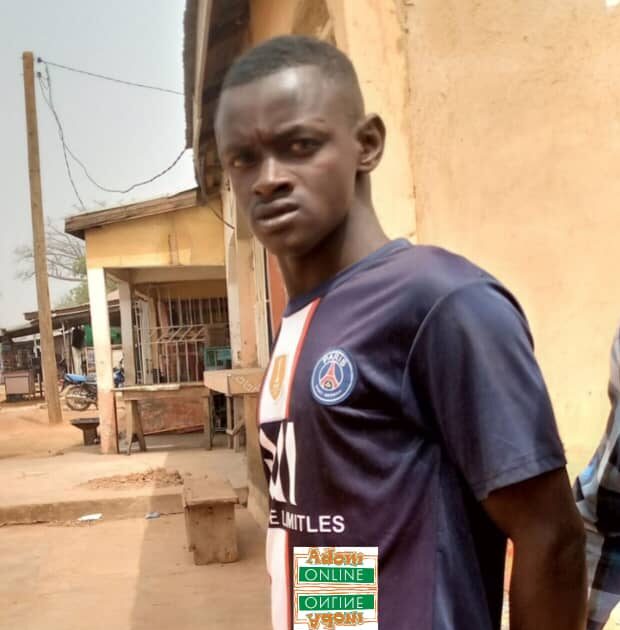 Motorbike thief re-arrested and sentenced to prison