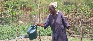 Ghana grapples with $14.25bn annual climate finance gap