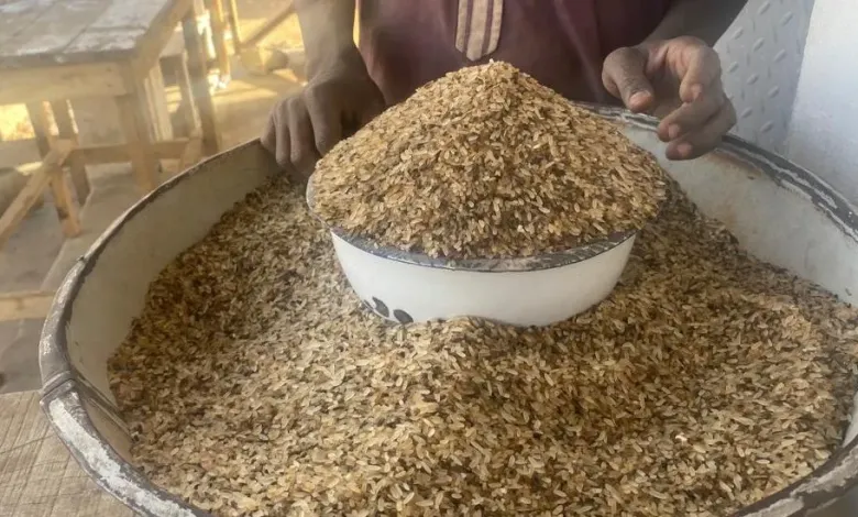 Rejected rice now ‘delicacy’ for Nigerians