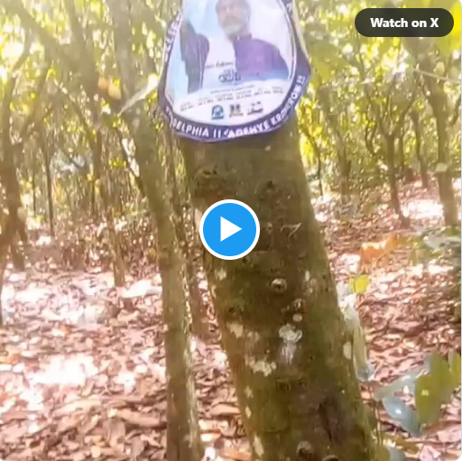 Video: Cocoa farmer seeks divine intervention; attach pastor’s sticker on cocoa tree for more yield