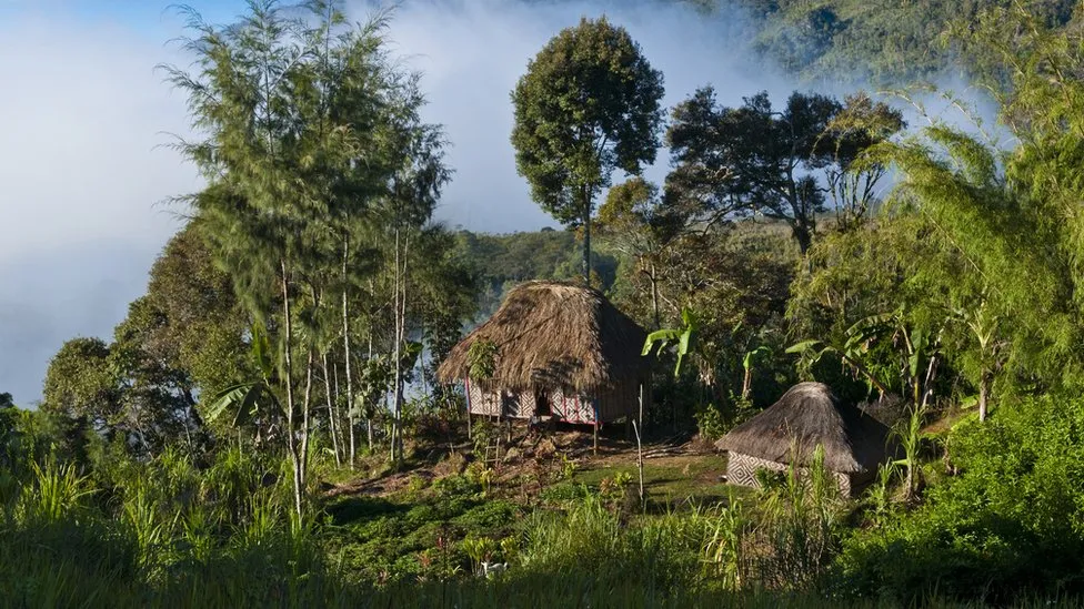 Papua New Guinea ambush: Numerous people shot dead in the Highlands