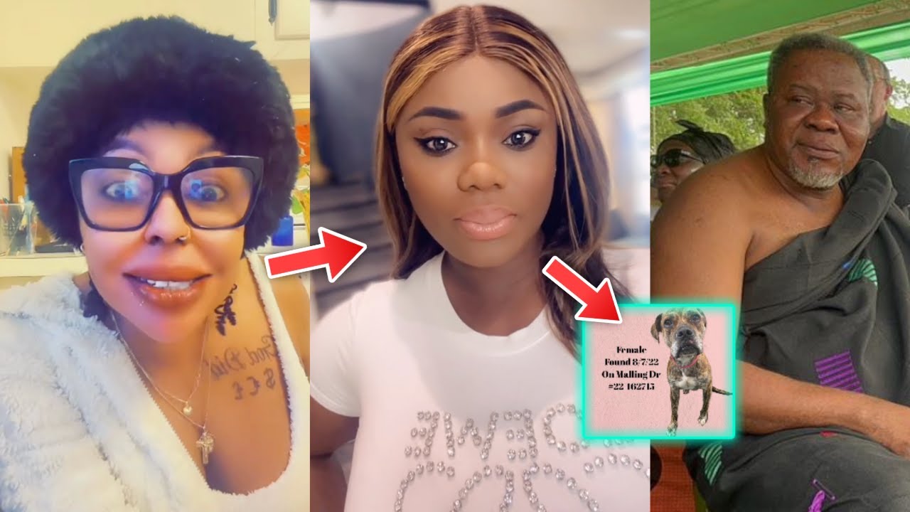 I don’t make friends with pigs and dogs – Dr. Kwaku Oteng’s ex-wife slams Afia Schwarzenegger
