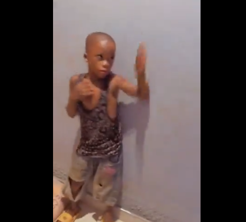 Man ‘assaults’ 10-year-old for climbing his wall to steal coconut