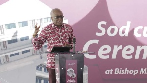 Keli Gadzekpo steps down as ECG board chair amid power crisis