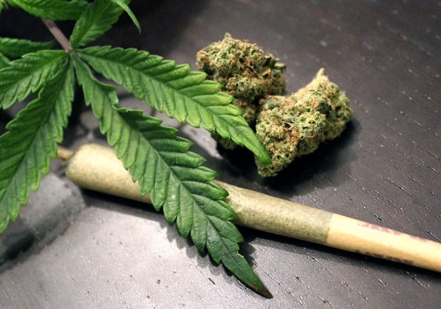 Marijuana could cause heart attack, stroke – Report
