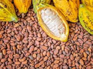 Ghana, Brazil sign cocoa pact to enhance global industry collaboration