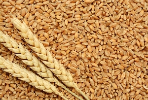 Wheat imports to surpass 900,000 metric tonnes – Report