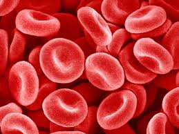What is G6PD deficiency and how it affected KODA’s health