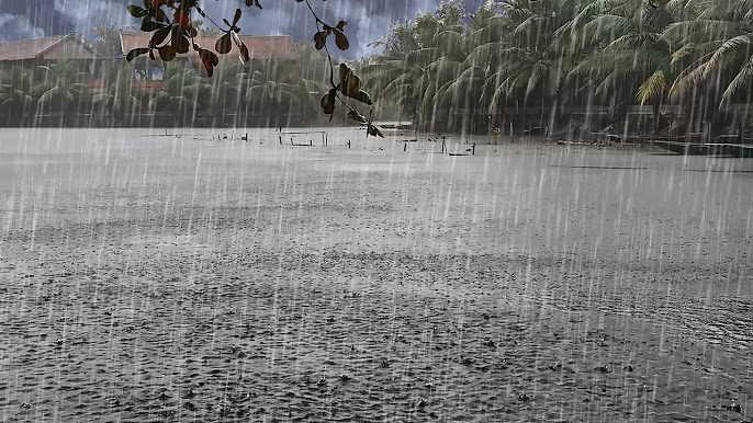 Strong winds, rainstorm from Benin to hit Ghana – GMet