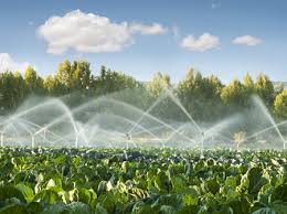 Govt gives nod for $20m for Kpong irrigation scheme expansion