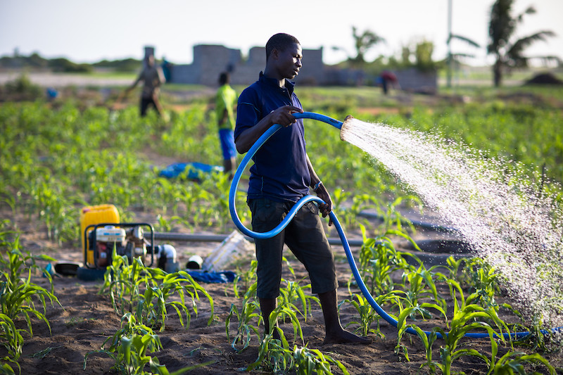 Water from Haatso, Dzorwulu, and Weija used to plant is filled with mercury, faecal content – Study
