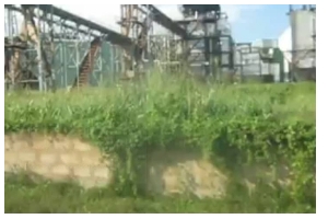 Rodents, reptiles, others find new home in the about GHC 28m Komenda Sugar Factory site