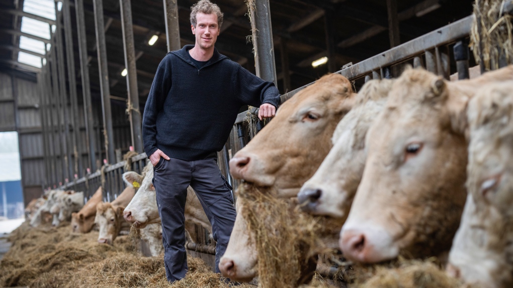 Farmers in Netherlands demonstrate against EU regulations