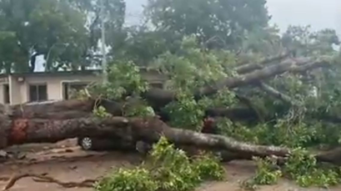 7 cars belonging to GACL staff damaged during downpour