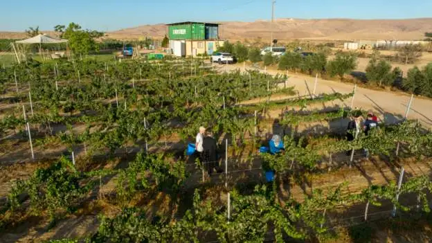 Dozen Malawians deported for abandoning Israeli farms