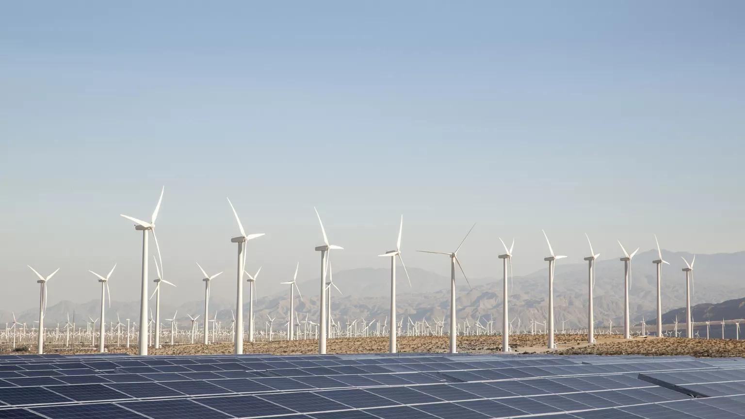 Licensing expenses posing major threat to renewable energy businesses – Study 