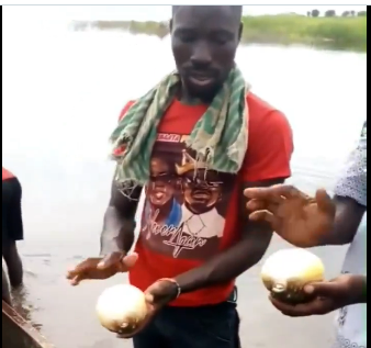 Watch Ghanaian men play with ‘deadly’ Puffer fish