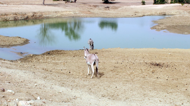 CSO’s call on AG to initiate an audit on 1Village 1Dam projects in Northern Ghana