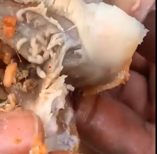 Video: Viewer discretion advised! – Man finds ‘thick’ maggots in chicken from fast food