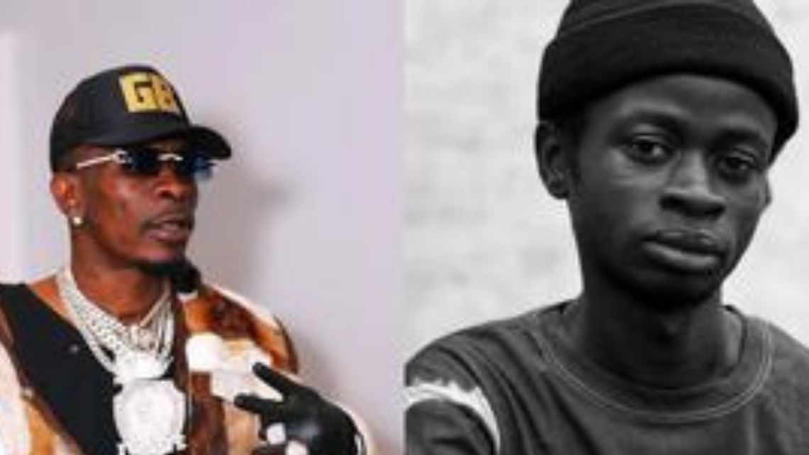 “I’m thankful for the guidance provided; I’ll improve on my brand- Safo Newman to Shatta Wale