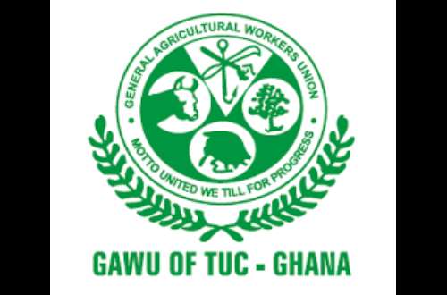 It is always important to review the Labour Act -GAWU emphasizes