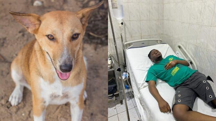 Video: Man barks like a dog after being bitten