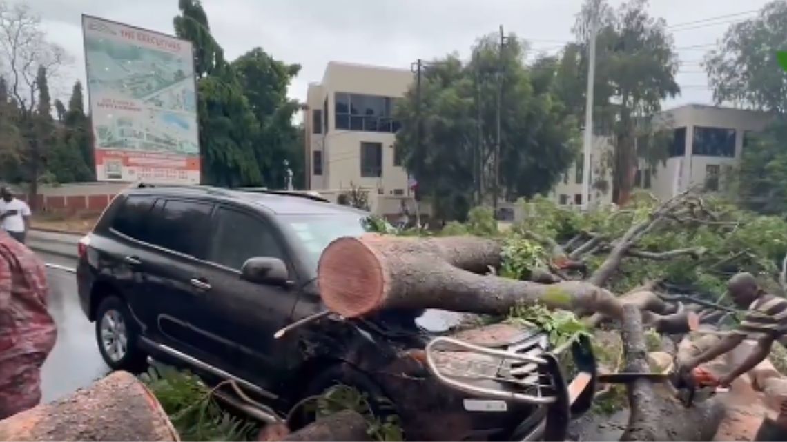 One hospitalised after trees fell on numerous vehicles amid heavy rain today