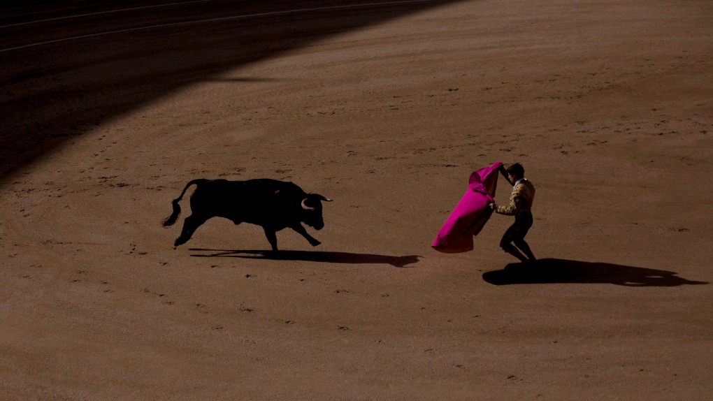 Spain removes national bullfighting trophy as part of cultural change