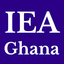 We are not working in the interest of one party – IEA