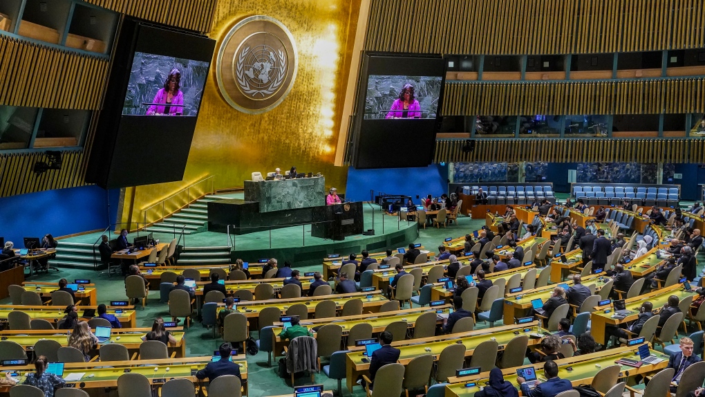 UN General Assembly supports Palestine’s membership application