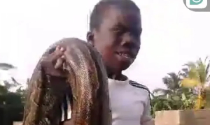 14-year-old boy conquers monstrous python in sugarcane farm at Benyadze