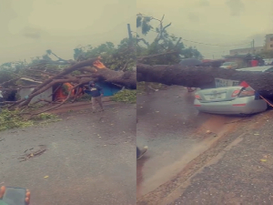 Sunday’s rainstorm uproots giant tree; trashes salon car, blocks Darkuman Quarters road