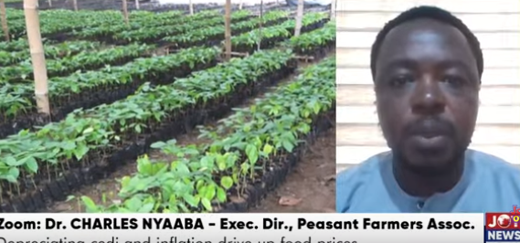 Ghanaian farmers are patriotic; no businessman would like to be a farmer – Dr Charles Nyaaba