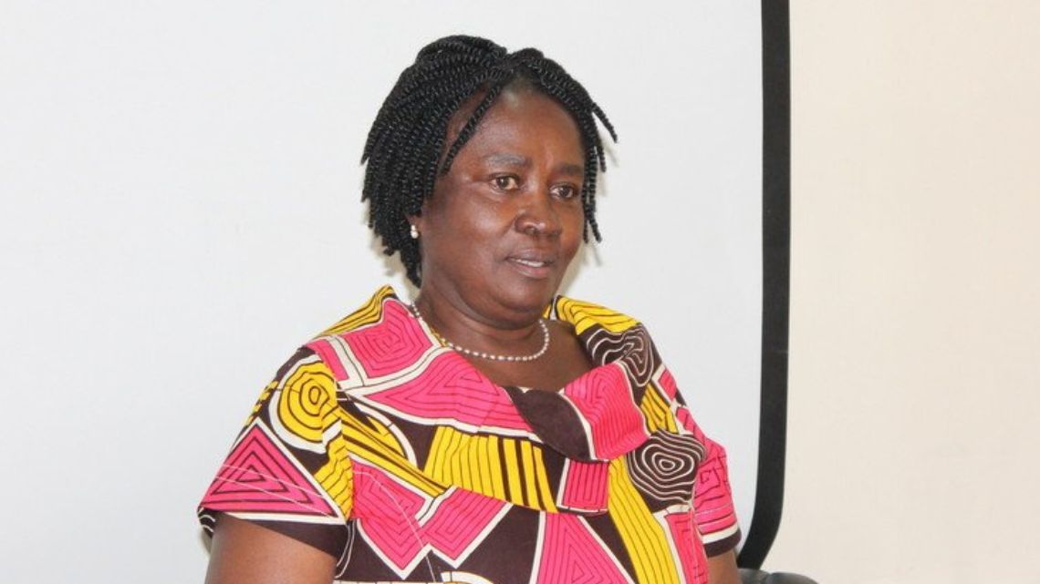 Prioritize the conduct of free, fair, and transparent elections – Prof Naana Jane to EC