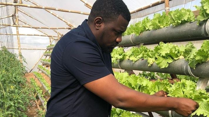 Planting for Food and Jobs programme has been an avenue for corruption, underperformance – Dumelo