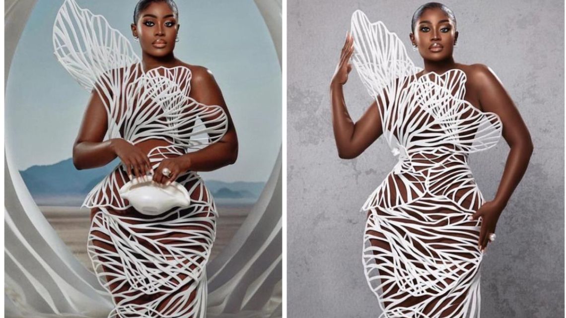 My AMVCA gown cost $11,000 – Nana Akua Addo