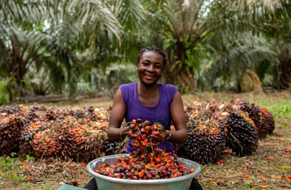 Presco acquires GOPDC for $124.9m to boost market share and diversification