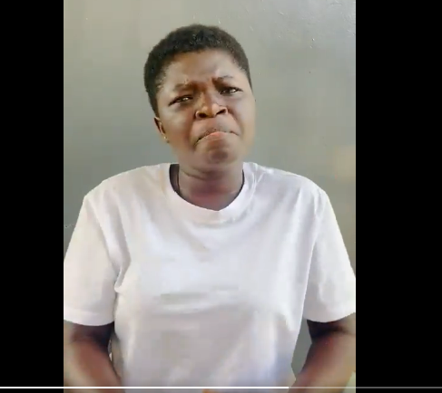 Mahama will make your life miserable if you give him another 4 years – Ghanaian woman warns