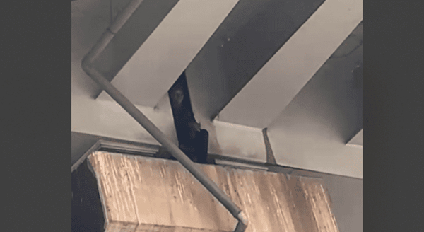 Woman spotted on Kwame Nkrumah flyover was at secret hideout with boyfriend – Kofi TV