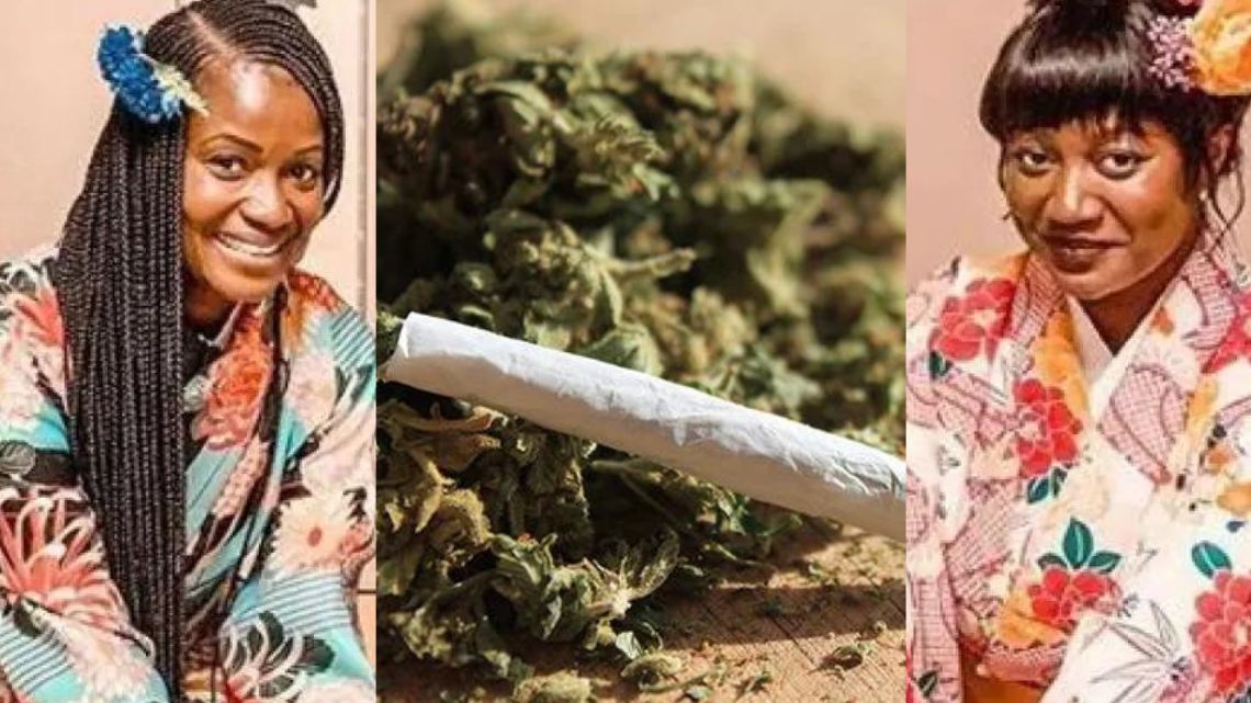 Good Grow, the “wee” farm company set up by Akufo-Addo’s daughters