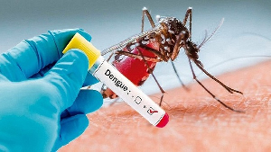 Stop self-medication – GHS warns public amid Dengue Fever outbreak