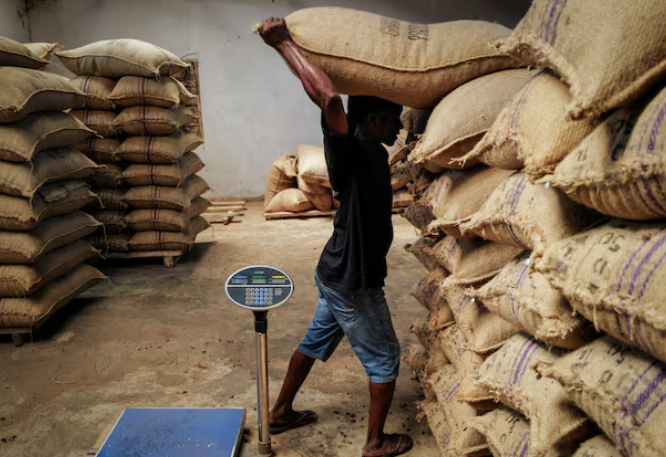 Better crop, smuggling crackdown see cocoa arrivals surge to 70% – Report