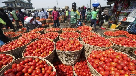 Traders call for immediate increase in local tomato production amid price hike