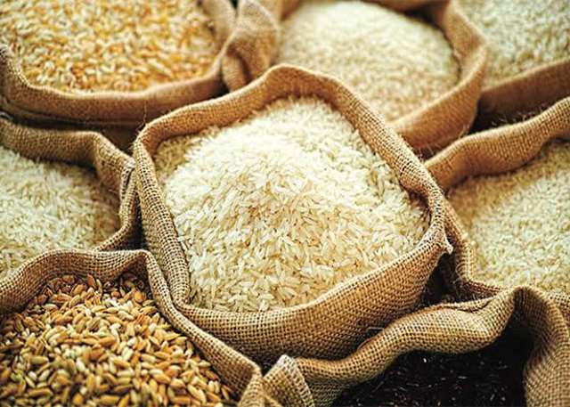 Rescind decision to ban grain export – Peasant farmers to govt